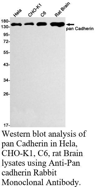 生物相关数据