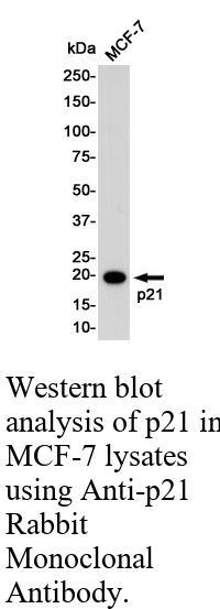生物相关数据