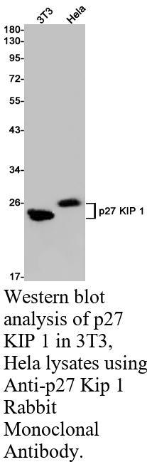 生物相关数据