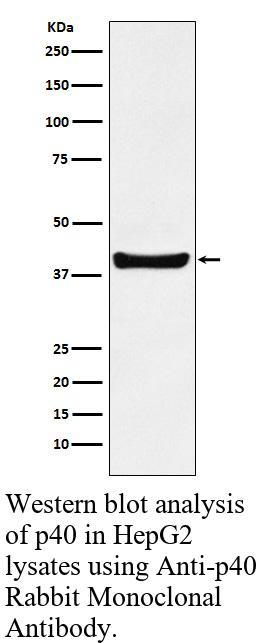 生物相关数据