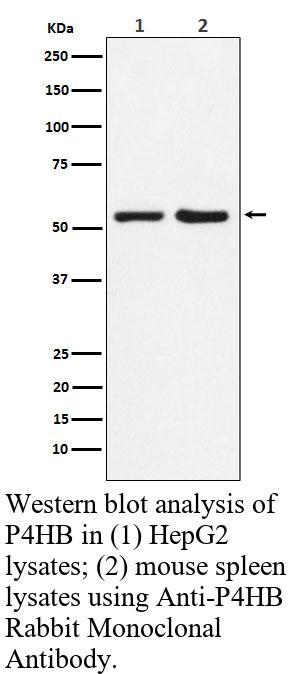 生物相关数据
