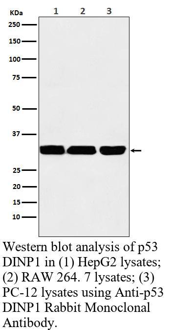 生物相关数据