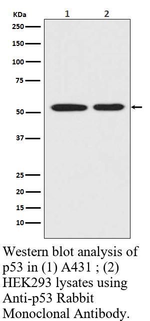 生物相关数据