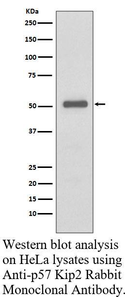 生物相关数据