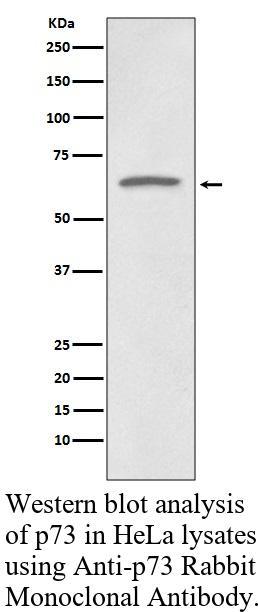 生物相关数据