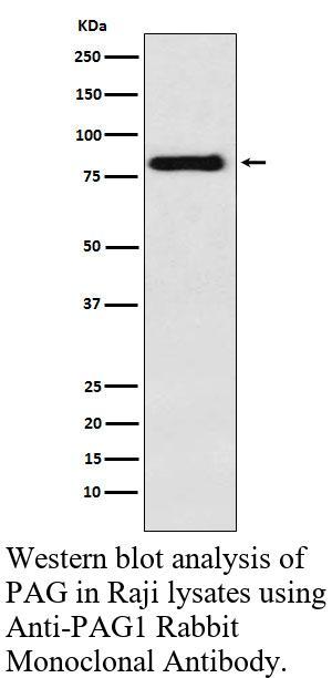 生物相关数据