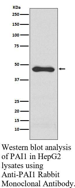 生物相关数据