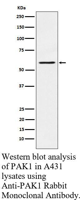 生物相关数据