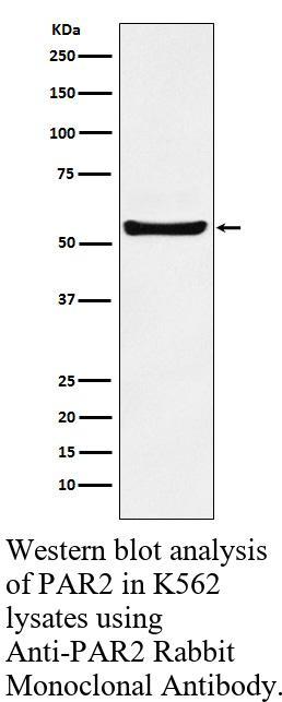 生物相关数据