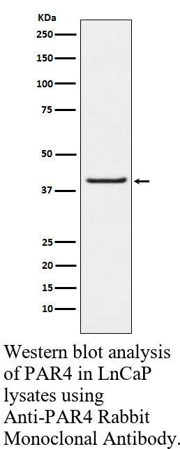 生物相关数据