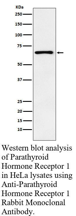 生物相关数据