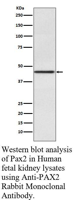 生物相关数据