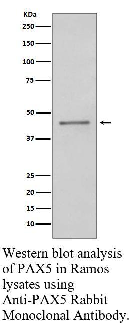 生物相关数据