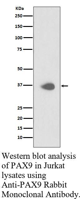 生物相关数据