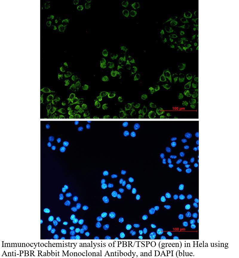 生物相关数据