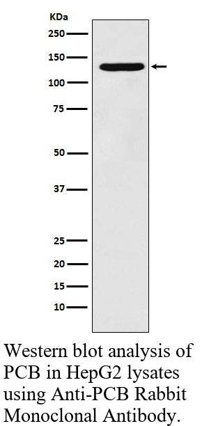 生物相关数据