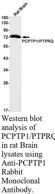 生物相关数据