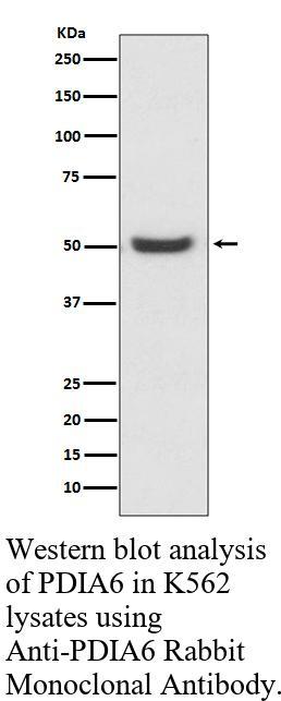 生物相关数据