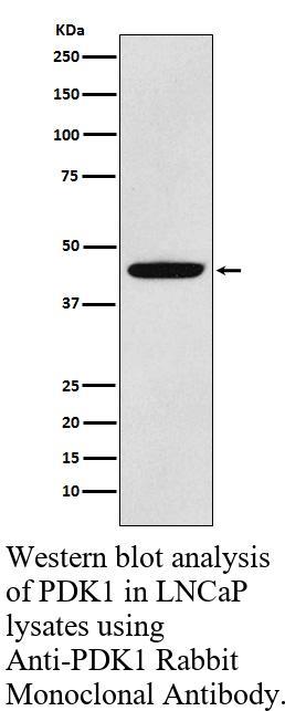生物相关数据