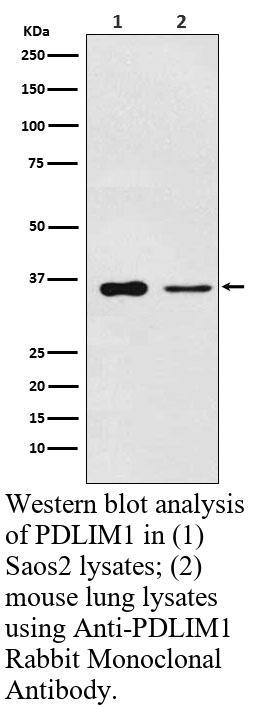 生物相关数据