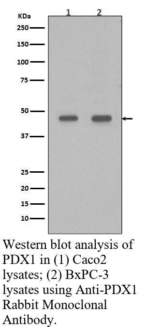 生物相关数据