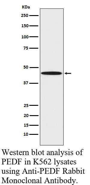 生物相关数据