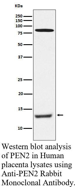 生物相关数据