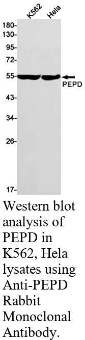 生物相关数据