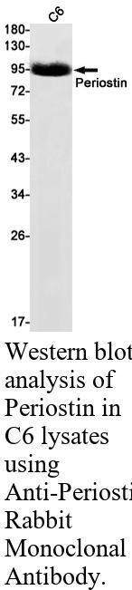 生物相关数据
