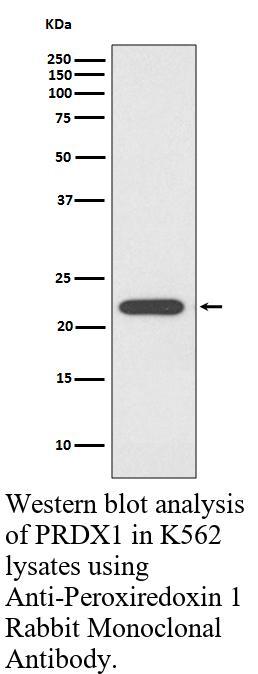 生物相关数据