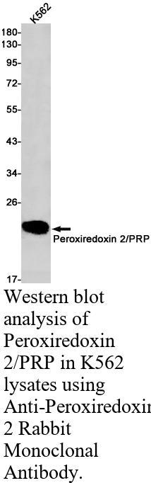 生物相关数据