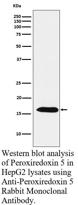 生物相关数据