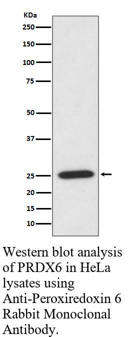 生物相关数据