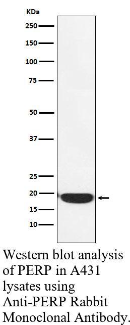 生物相关数据