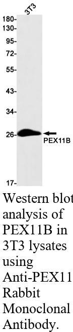 生物相关数据