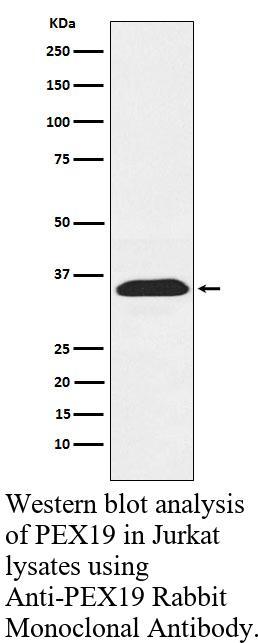 生物相关数据
