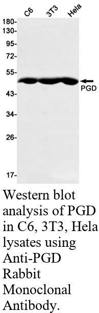 生物相关数据