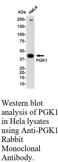 生物相关数据