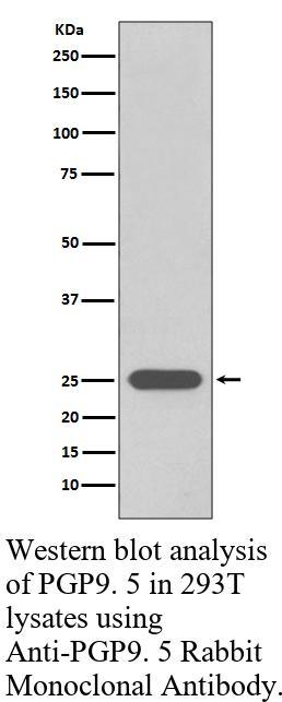 生物相关数据