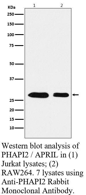 生物相关数据