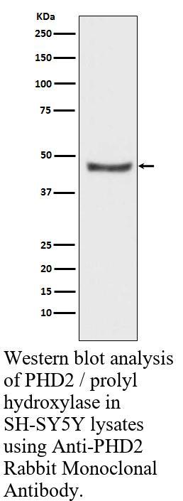 生物相关数据