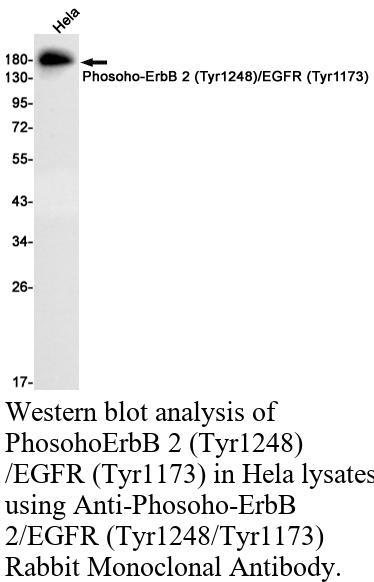 生物相关数据