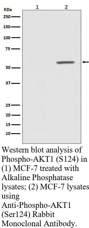生物相关数据