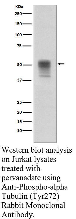生物相关数据