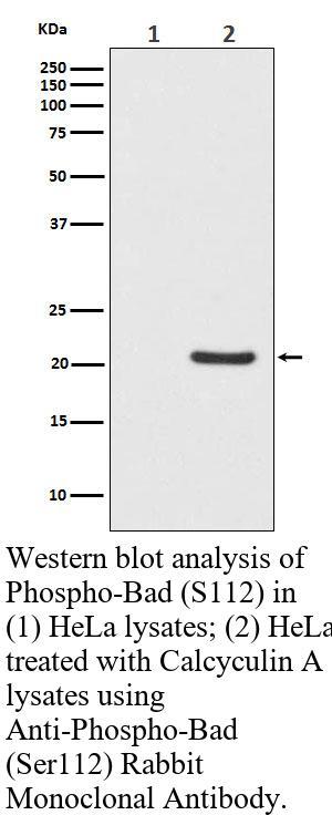 生物相关数据