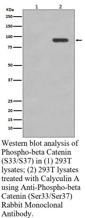 生物相关数据
