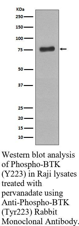 生物相关数据
