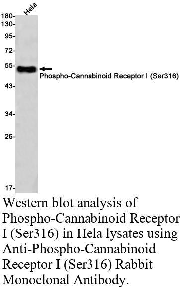 生物相关数据