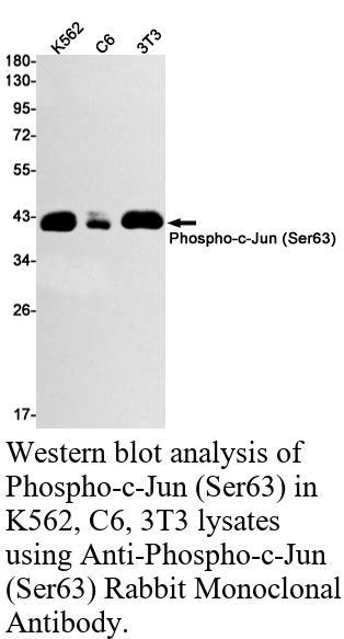 生物相关数据