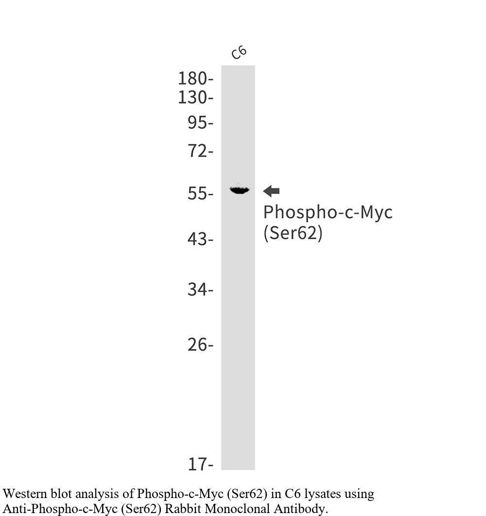 生物相关数据